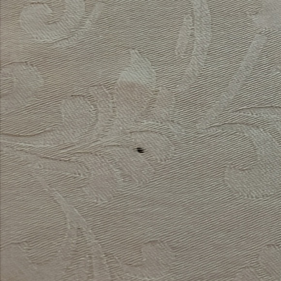 Bella Notte Pale Yellow Velvet Trim Pillow Shams - Picture 4 of 13